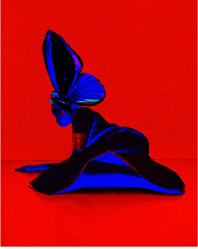 INSTRUCTIONS ON HOW TO BECOME I (2026)